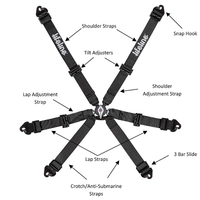 Thumbnail for Lifeline Becketts 6 Point FIA Racing Harness (2028 Expiry)