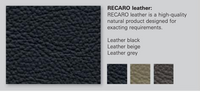 Thumbnail for Recaro-Leather-Swatches-image