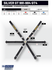 Thumbnail for Sabelt Enduro Silver Series Porsche GT2/GT3/GT4 6 Point Racing Harness 2029 Expiry