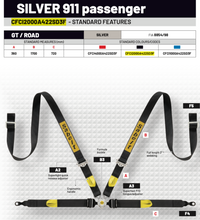 Thumbnail for Sabelt Porsche 996 / 997 4-Point Track Day Car Harness-Image