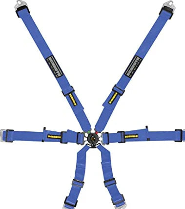 Schroth Flexi 2x2 Six-Point Racing Harness 2029 EXPIRY