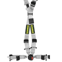 Thumbnail for Schroth Quick-Fit Pro 4 Point Harness silver